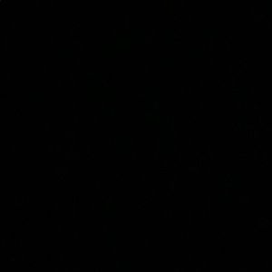 Meet your Posher, Steph